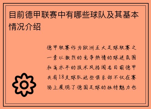 目前德甲联赛中有哪些球队及其基本情况介绍